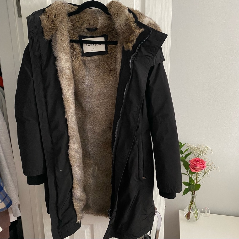 Aritzia Babaton Goose Down Long Winter Coat